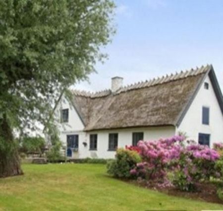 Pegasus Bed & Breakfast 希勒勒 外观 照片