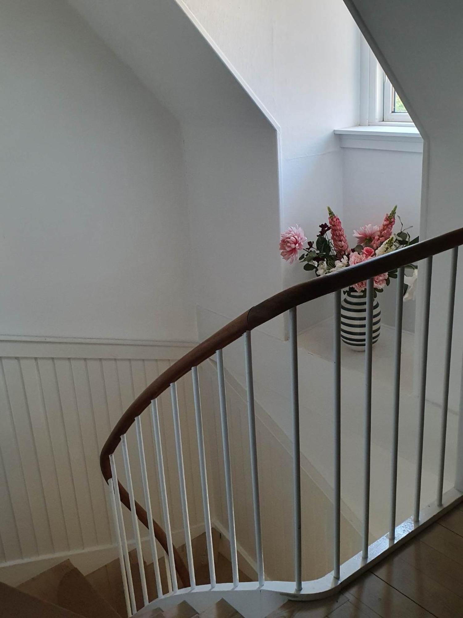 Pegasus Bed & Breakfast 希勒勒 外观 照片
